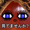 问哥